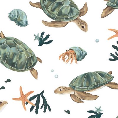 Черепахи на белом фоне