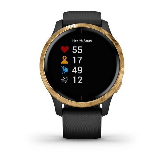Garmin VENU черные с золотистым безелем