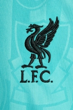 Футболка Nike Liverpool FC 24/25 Pre-Match Junior - голубой