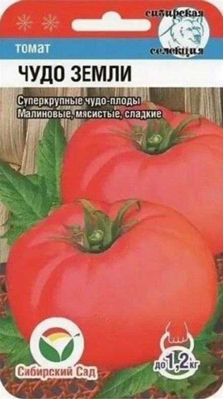 Томат Чудо земли