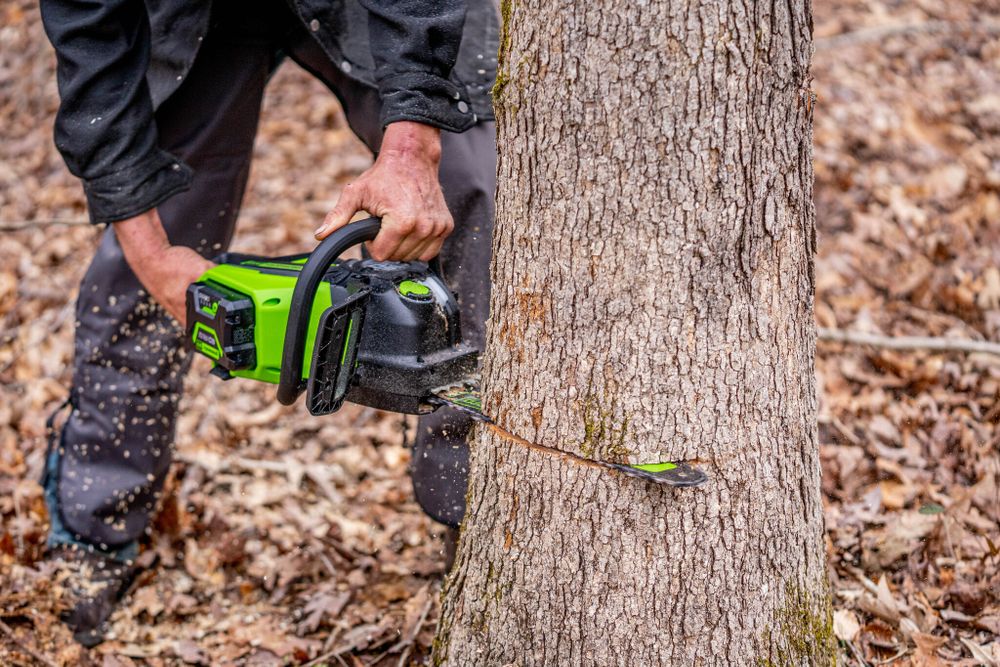 Цепная пила аккумуляторная Greenworks GD60CS25 Арт. 2008907, 60V, 40 см, бесщеточная, 2500 Вт, без АКБ и ЗУ