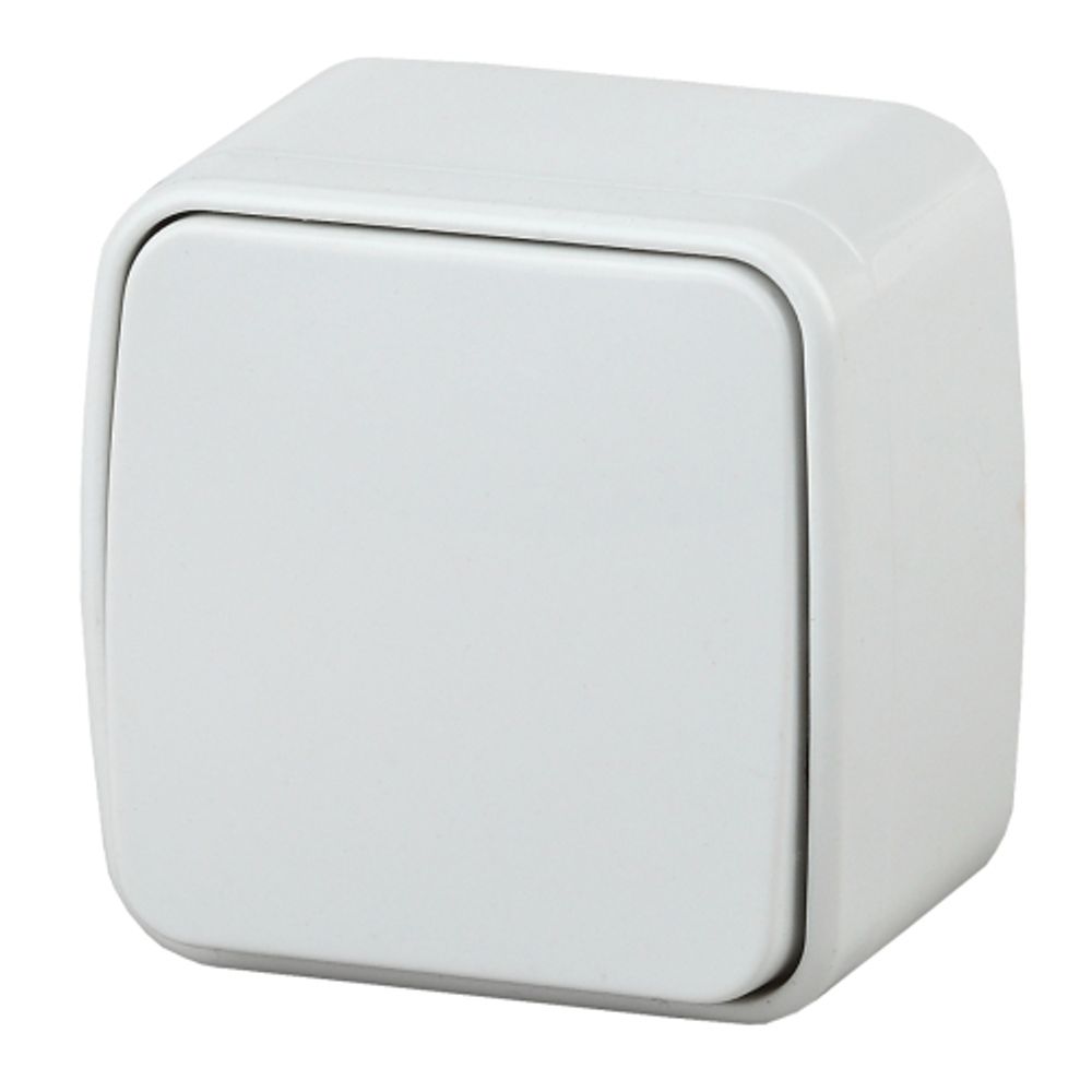 3-101-01 Intro Выключатель, 10А-250В, IP20, ОУ, Polo, белый