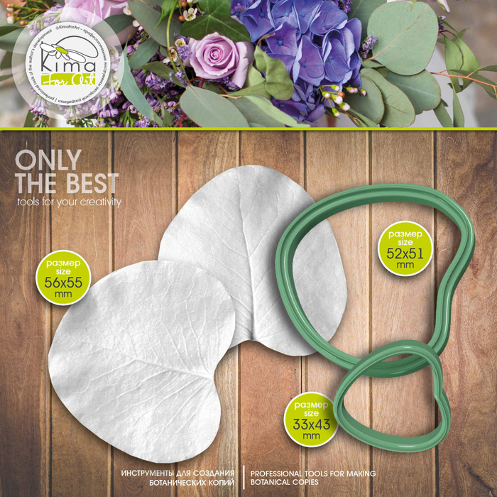 Эвкалипт лист большой круглый