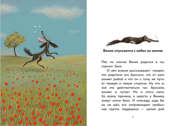 Пес Веник ищет друзей