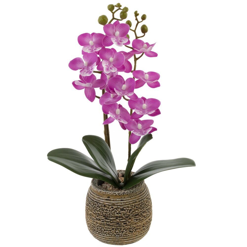 GAEM Цветочная композиция "Орхидея", L11 W11,5 H36,5 см