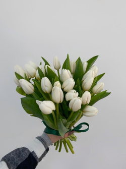 покупка белых тюльпанов