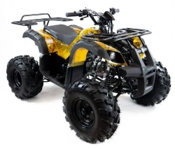 Квадроцикл MOTAX ATV Grizlik 7 110 cc