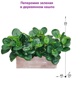 Искусственная Пеперомия зеленая 45см в длинном кашпо