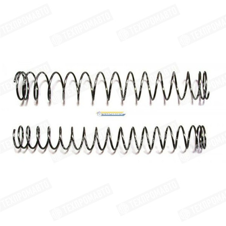 СИБЕК Пружина двойная для поршня ПШ 8