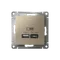 Розетка USB AtlasDesign тип A+C 45Вт QC PD высокоскор. ЗУ механизм шампань SE ATN000529