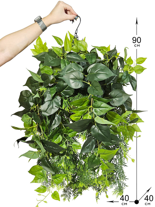 Филодендрон с зеленью в подвесном кашпо