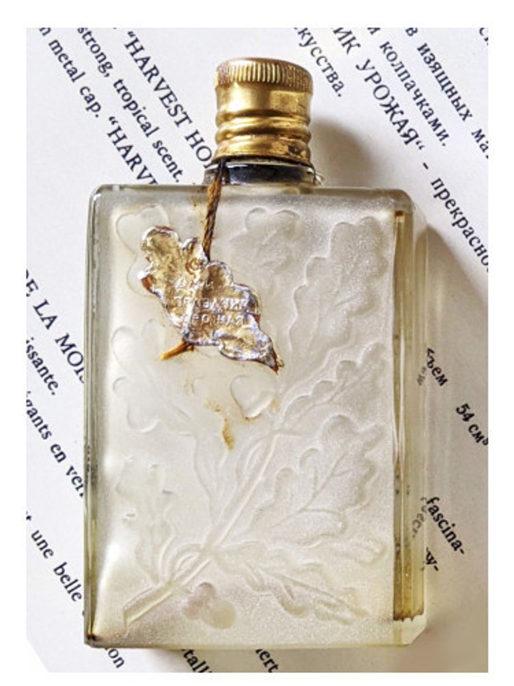 Nouvelle Etoile – Новая Заря Harvest Fest - Праздник урожая