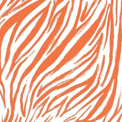 Оранжевый полосатый принт. Принт зебры или тигра