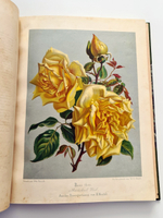 "Nestel`s Rosengarten. [  Сад роз Нестела]". E. Schweizerbartsche Verlagshandlung. 1869г.