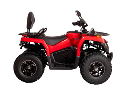 Квадроцикл BIZON YK200 Basic Carb