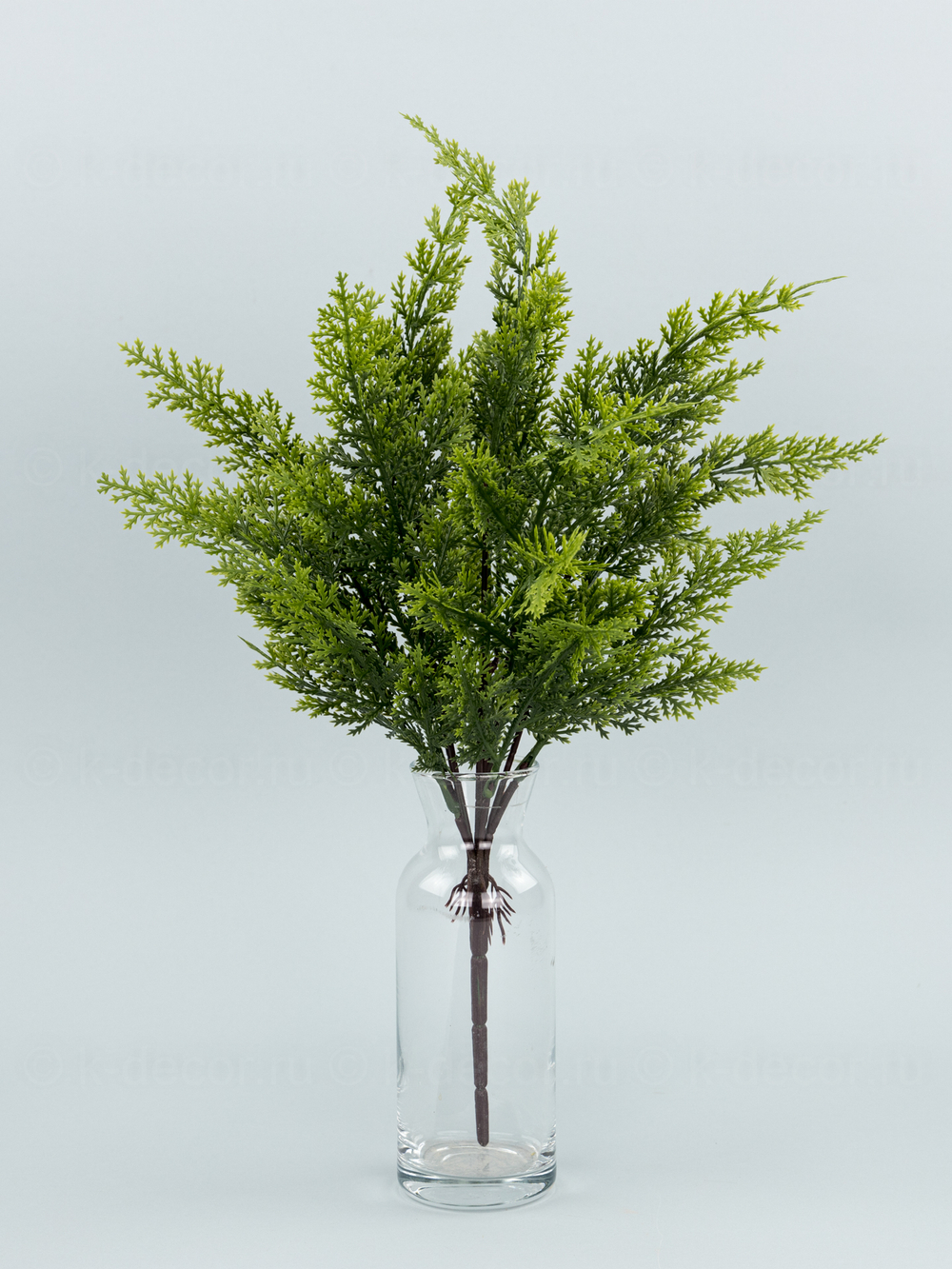 Букет туя Крымская