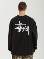 Мужской Лонгслив Basic Stussy Pig. Dyed