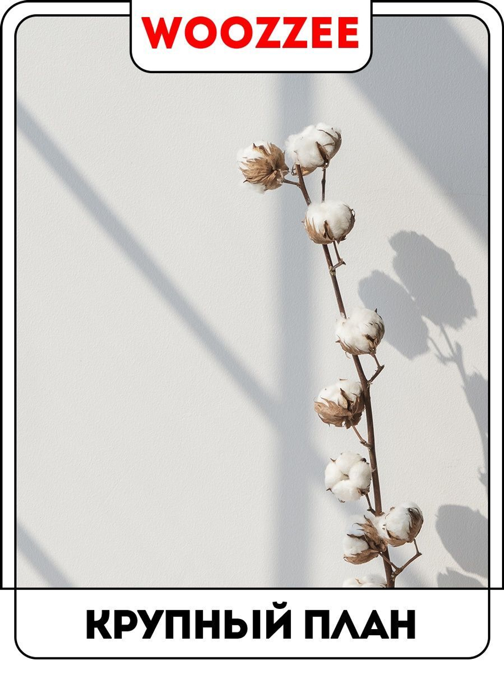 Набор постеров "Хлопок"  3шт.