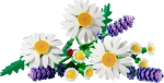 Конструктор LEGO Botanical Collection 11508 Daisies