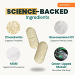 Glyco Flex-3 хондропротектор в жевательных таблетках