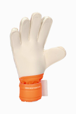 Вратарские перчатки Puma Ultra Protect 3 RC