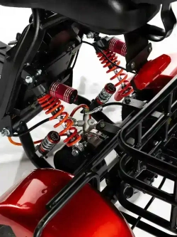 Электроскутер GT Citycoco X5 Trike