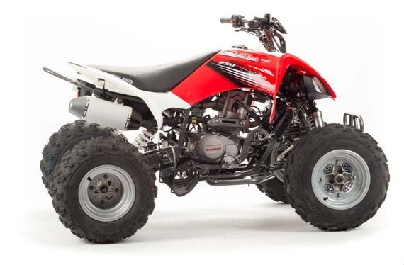 Квадроцикл MOTOLAND 125S (2020 Г.)