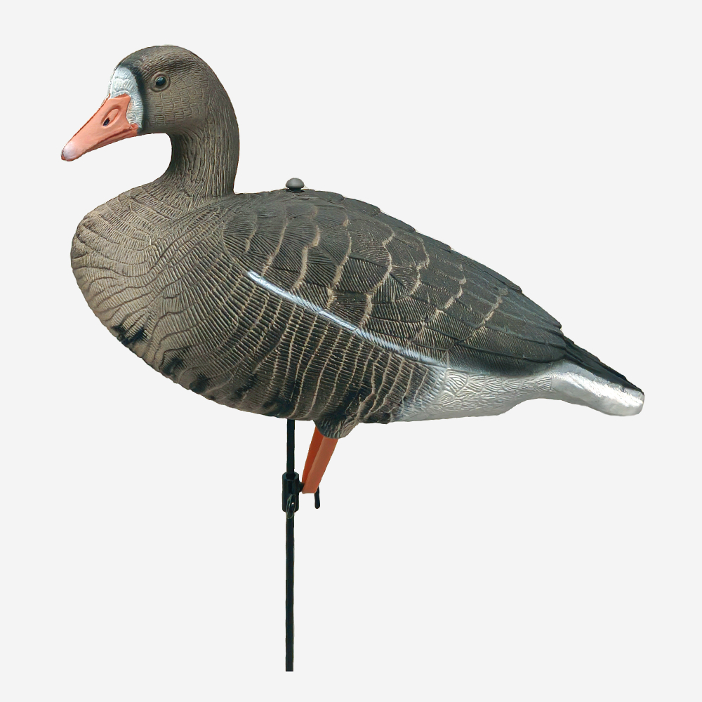 Белолобый гусь Softplast 3D мод. BS-3D