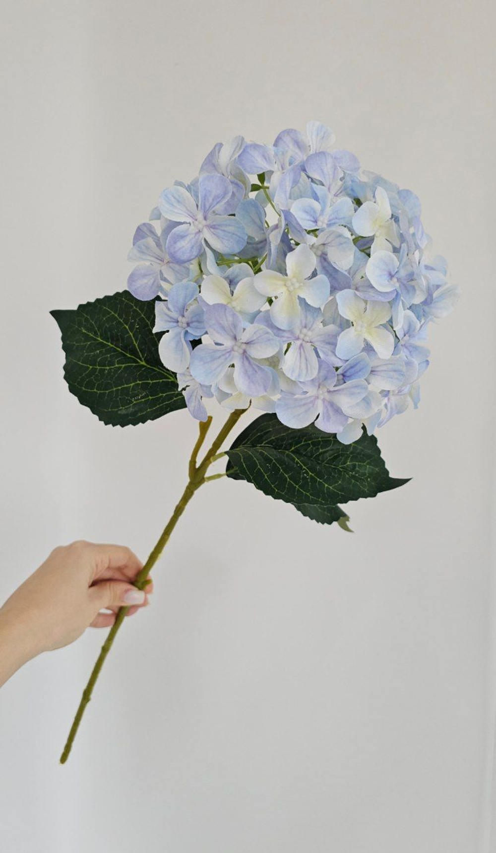 Гортензия / Арт 2096