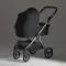 Коляска ANEX iQ Premium 2 в 1 Starless