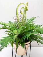 Искусственные растения для декора