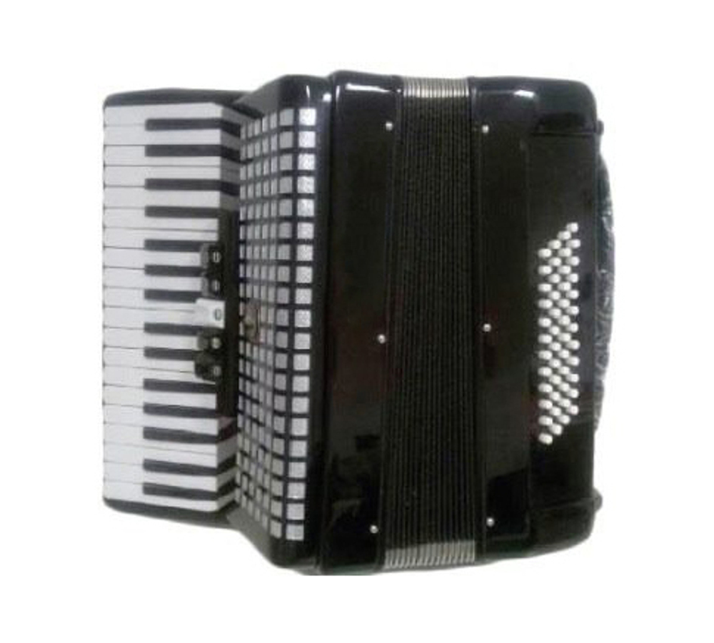 Аккордеон Aurus JH2005-B