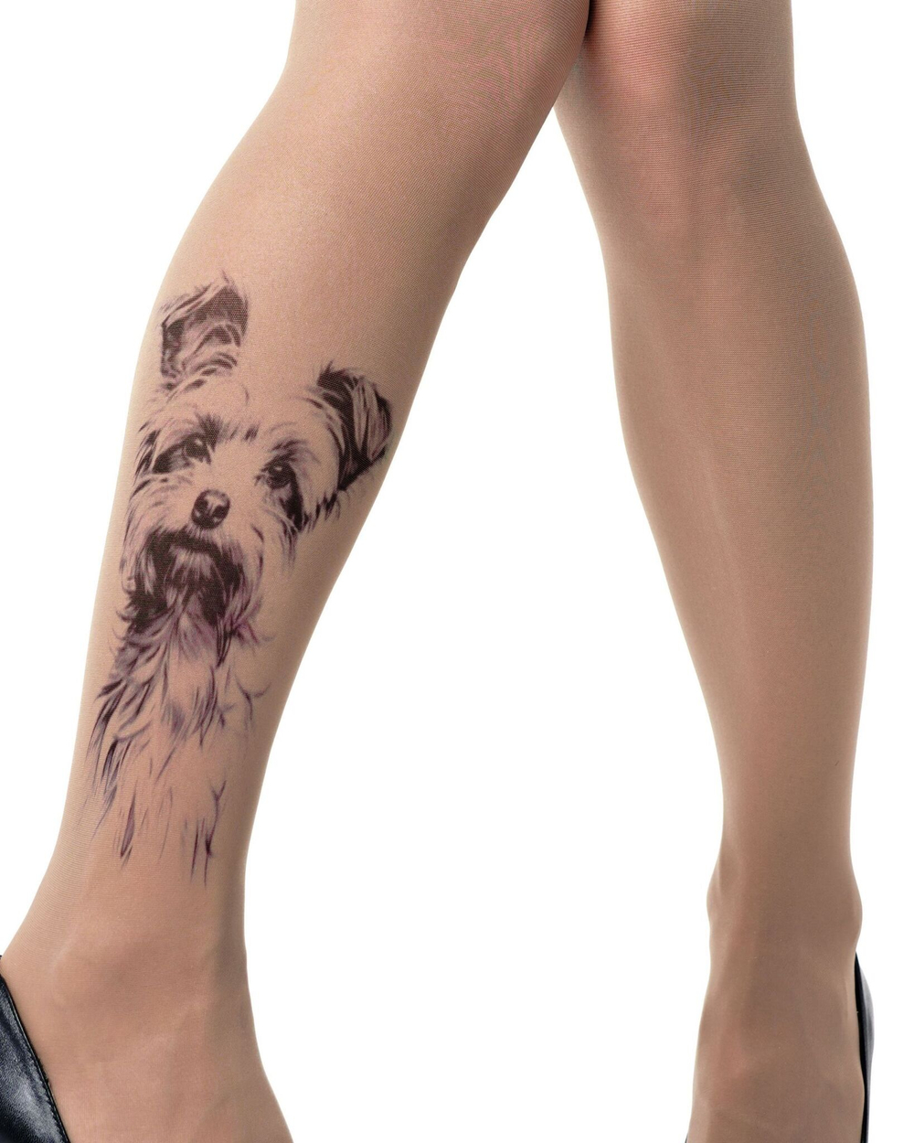 Колготки +size с принтом в виде терьера (Размер: XL-XXL-XXXL) (Цвет: бежевый)