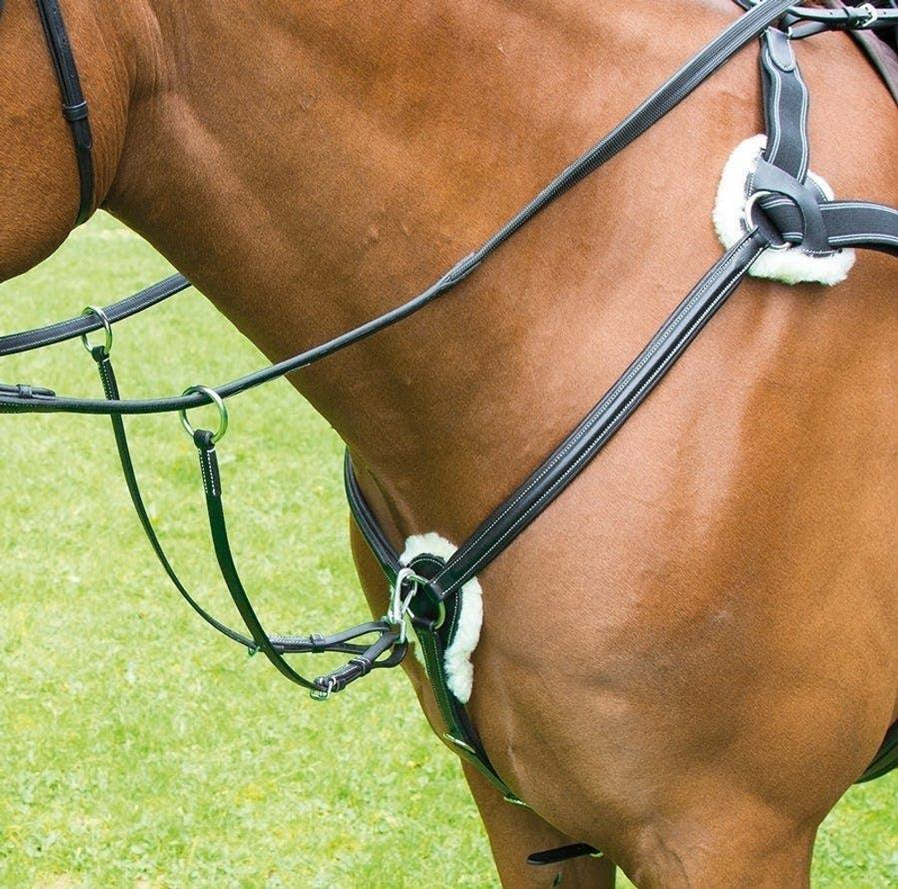 Подперсье пятиточечное Shires Salisbury Five Point Breastplate - Black