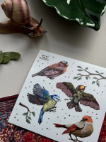 Стикерпак ‘птицы’ 🕊️