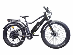 Электровелосипед VOLTECO BIGCAT DUAL