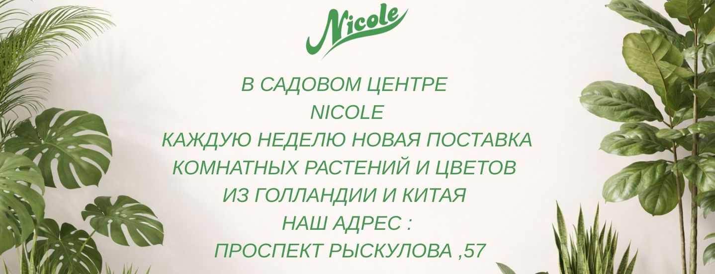 Садовый центр Nicole 