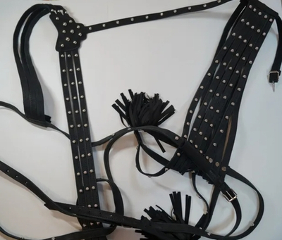 Шлея выездная