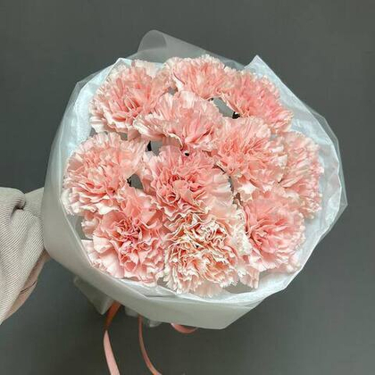 Нежный букет из 11 диантусов