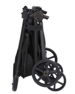 Прогулочная коляска Carrello Bravo Carbon CRL-5530