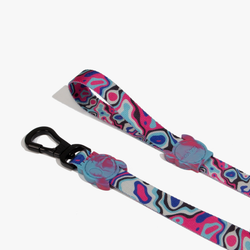 Поводок BLAST 120 см Zee.Dog