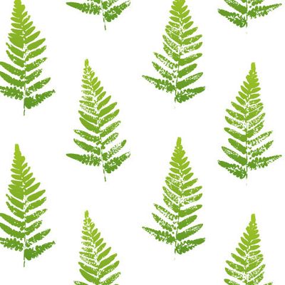 Зелёный папоротник