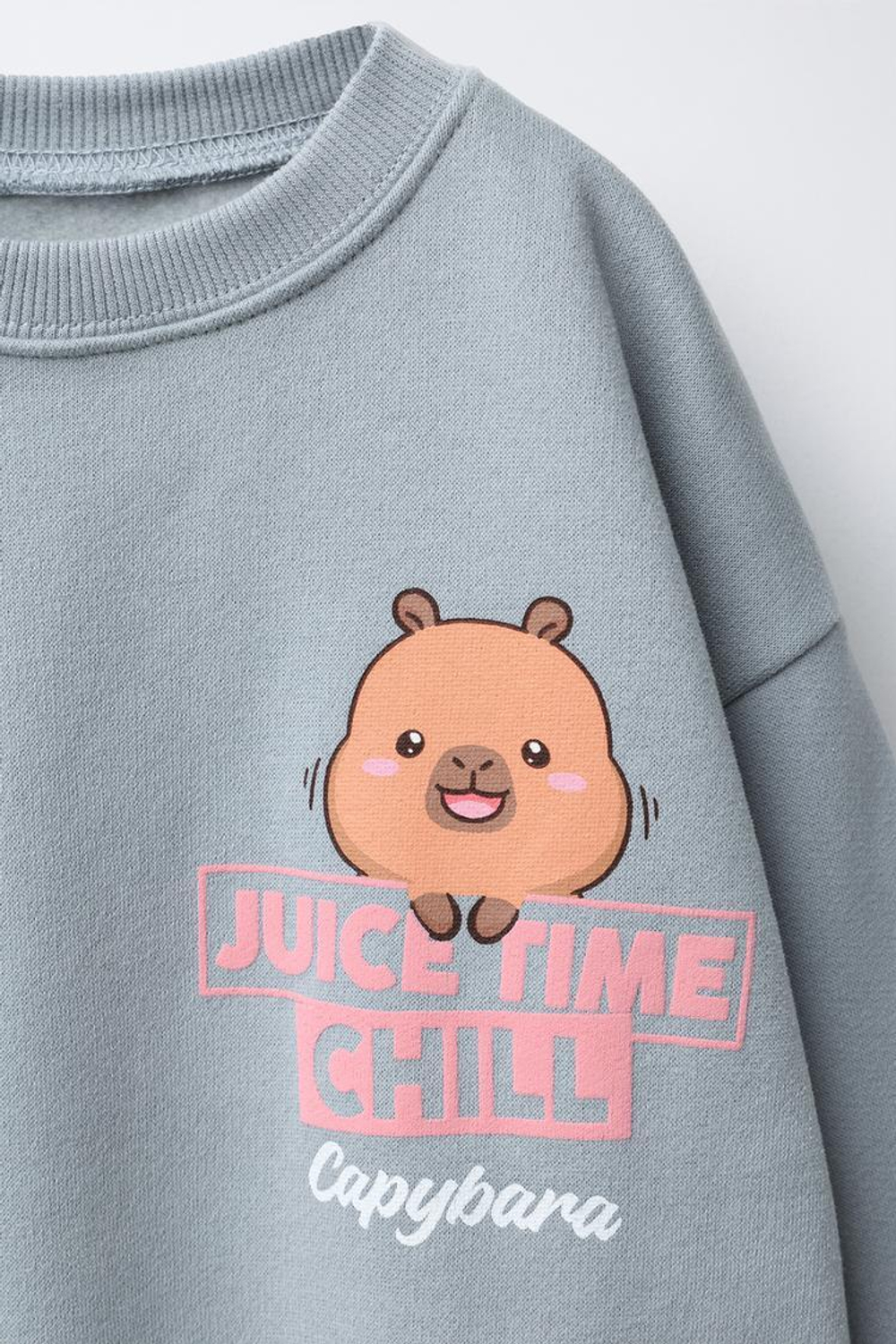 ZARA ТОЛСТОВКА С ПРИНТОМ CAPIBARA CAPYFUN ©, СЕРО-СИНИЙ