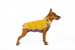 жилет для собак "КРОКОДИЛ " демисезон (МАЛЬЧИК)