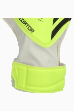 Вратарские перчатки adidas Predator Training - зеленый