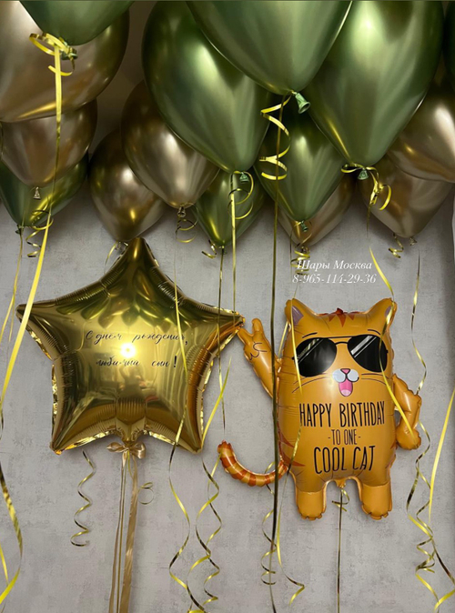 Крутой кот с воздушными шарами и большой золотой звездой с любой надписью