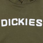 Худи Dickies Skateboarding Graphic Hoodie (dark olive)