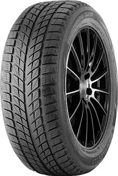 Doublestar DW09 255/50 R19 107T