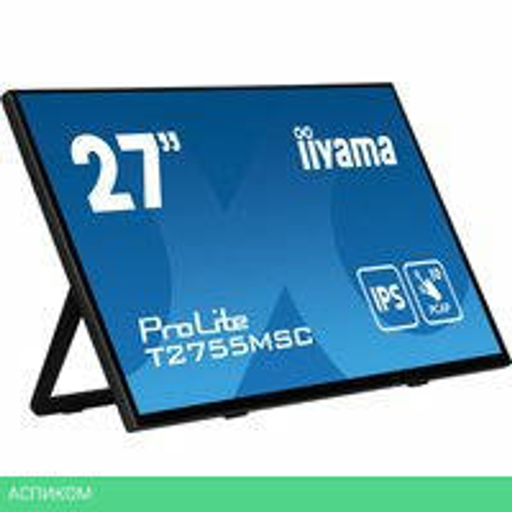 Портативный монитор Iiyama ProLite T2755MSC-B1