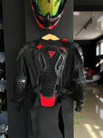 Черепаха Motowolf